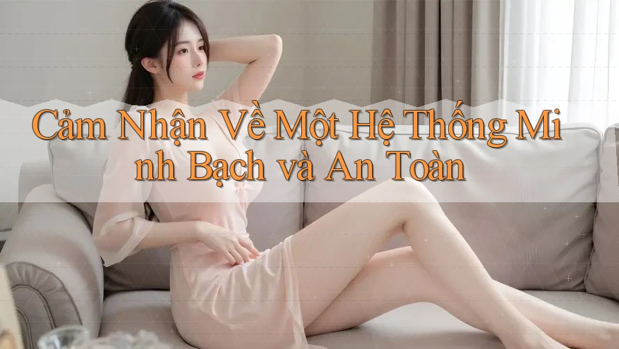Cảm Nhận Về Một Hệ Thống Minh Bạch và An Toàn Cảm Nhận Về Một Hệ Thống Minh Bạch và An Toàn