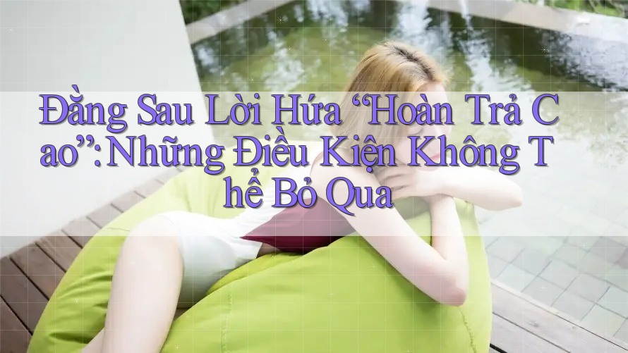 Đằng Sau Lời Hứa “Hoàn Trả Cao”: Những Điều Kiện Không Thể Bỏ Qua