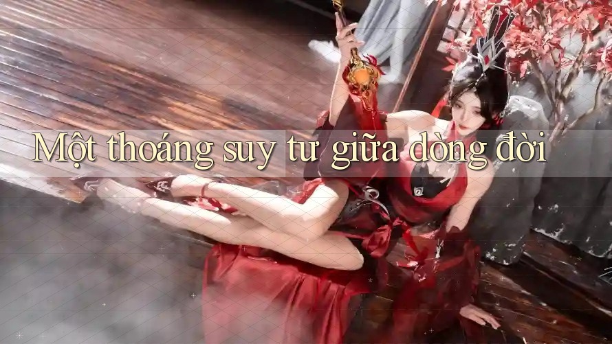 Một thoáng suy tư giữa dòng đời