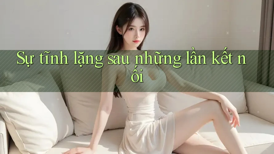 Sự tĩnh lặng sau những lần kết nối Sự tĩnh lặng sau những lần kết nối