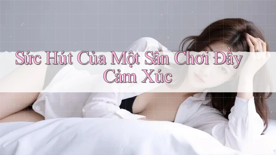 Sức Hút Của Một Sân Chơi Đầy Cảm Xúc