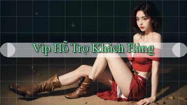 vip Hỗ trợ khách hàng